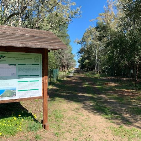 Villaggio Camping Uria Foce Varano Ngoại thất bức ảnh
